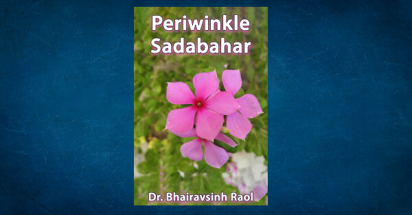 Periwinkle Sadabahar by Dr. Bhairavsinh Raol in English Health PDF